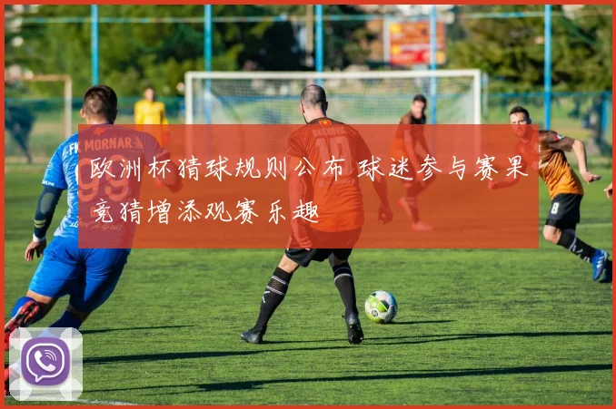欧洲杯猜球规则公布 球迷参与赛果竞猜增添观赛乐趣