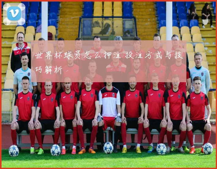 世界杯球员怎么押注 投注方式与技巧解析