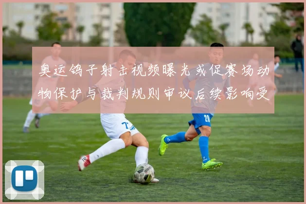 奥运鸽子射击视频曝光或促赛场动物保护与裁判规则审议后续影响受关注