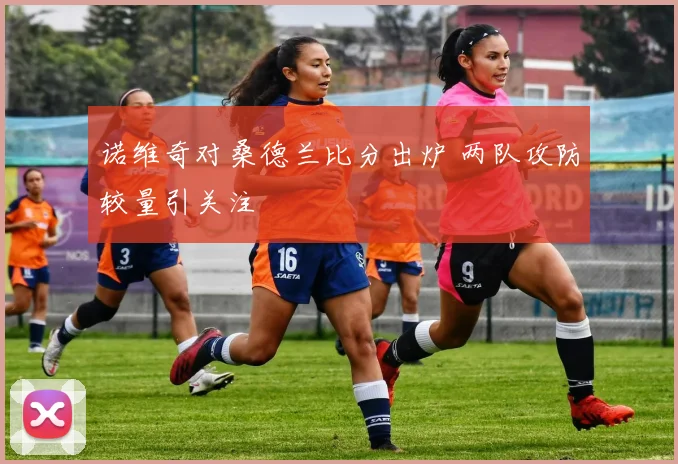 诺维奇对桑德兰比分出炉 两队攻防较量引关注