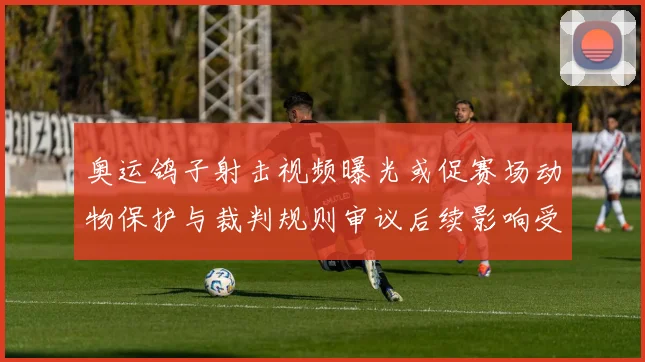 奥运鸽子射击视频曝光或促赛场动物保护与裁判规则审议后续影响受关注