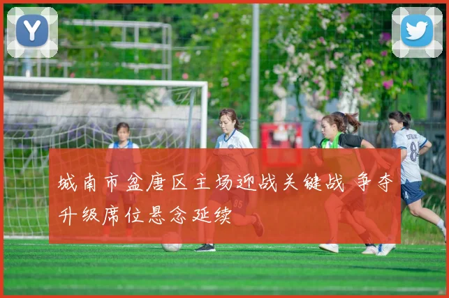 城南市盆唐区主场迎战关键战 争夺升级席位悬念延续