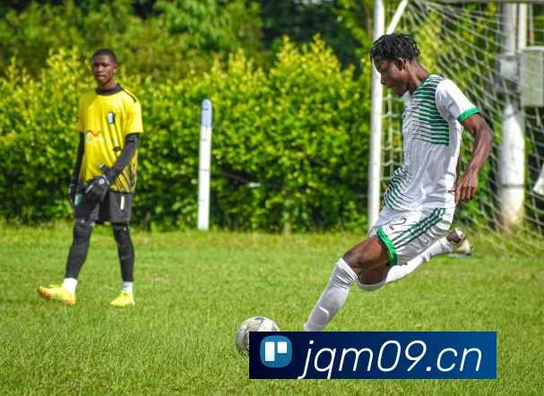 App Interface Preview